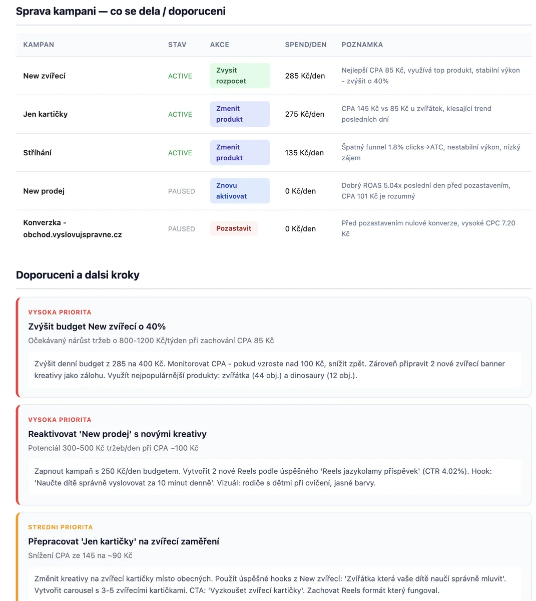 Meta Ads AI Analytik: konkrétní doporučení a akční kroky pro každou kampaň