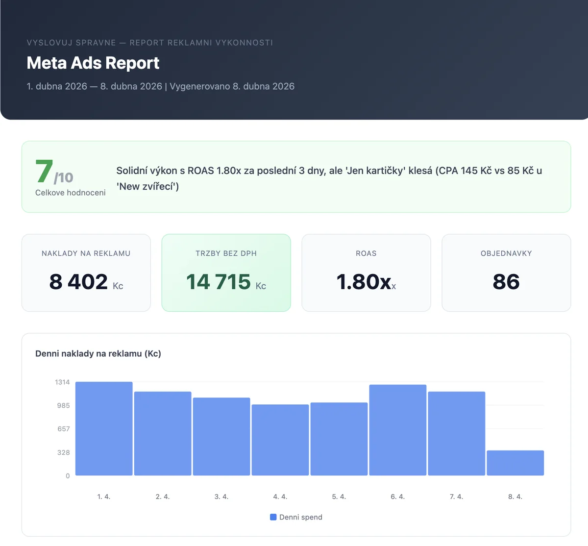 Náhled KPI dashboardu: ROAS, náklady a denní spending